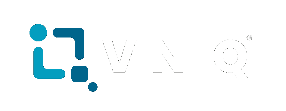 VIN IQ
